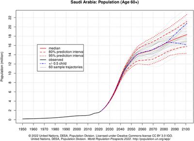 The current view of potentially inappropriate medications (PIMs) among older adults in Saudi Arabia: a systematic review